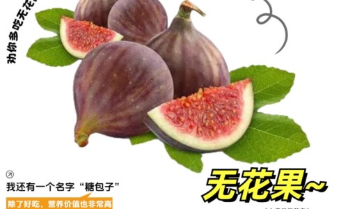 无蛋白质的早餐排名-无蛋白质的食物有哪些危害网 - 没有蛋白质的主食,无蛋白质的食物一览表