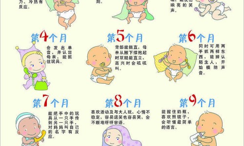 无蛋白质的食物有哪些危害呢-无蛋白质的食物有哪些危害网 - 没有蛋白质的主食,无蛋白质的食物一览表